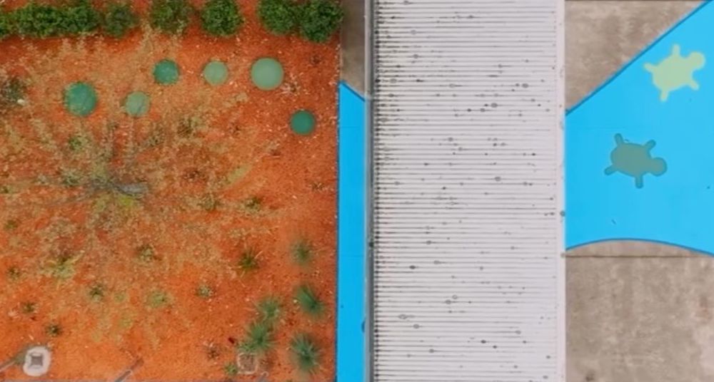 Mowbray Public School 6 Mowbray Public School 4